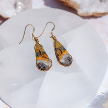 Load image into Gallery viewer, Bumblebee Jasper 14ct Gold Fill Earrings