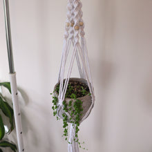 Load image into Gallery viewer, Spiral Knot Macrame Plant Hangers