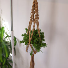 Load image into Gallery viewer, Spiral Knot Macrame Plant Hangers