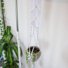 Load image into Gallery viewer, Sea Shell Macrame Plant Hanger