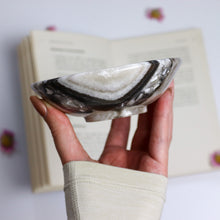 Load image into Gallery viewer, Zebra Aragonite Bowl