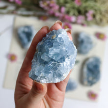 Load image into Gallery viewer, Celestite Cluster