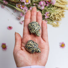 Load image into Gallery viewer, Dalmatian Jasper Tortoise