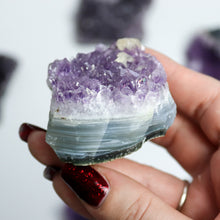 Load image into Gallery viewer, Large Amethyst Cluster