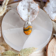 Load image into Gallery viewer, Bumblebee Jasper 925 Sterling Silver Necklace