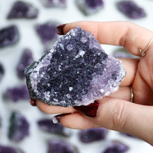 Load image into Gallery viewer, Amethyst Cluster