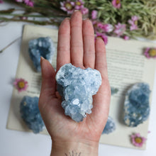 Load image into Gallery viewer, Celestite Cluster