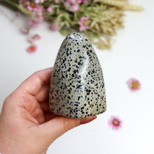 Load image into Gallery viewer, Dalmatian Jasper Freeform
