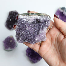 Load image into Gallery viewer, Large Amethyst Cluster