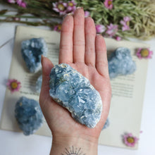 Load image into Gallery viewer, Celestite Cluster