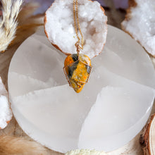 Load image into Gallery viewer, Bumblebee Jasper 14ct Gold Fill Necklace