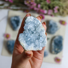 Load image into Gallery viewer, Celestite Cluster