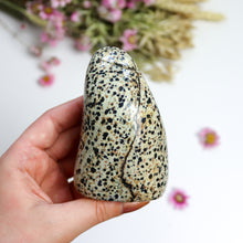 Load image into Gallery viewer, Dalmatian Jasper Freeform