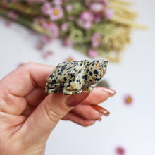 Load image into Gallery viewer, Dalmatian Jasper Tortoise