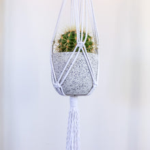 Load image into Gallery viewer, Plant Hanger x Blue Lace Agate Crystal