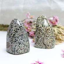 Load image into Gallery viewer, Dalmatian Jasper Freeform