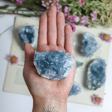 Load image into Gallery viewer, Celestite Cluster