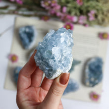 Load image into Gallery viewer, Celestite Cluster