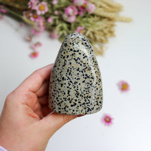 Load image into Gallery viewer, Dalmatian Jasper Freeform