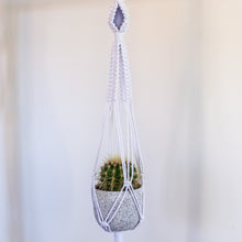 Load image into Gallery viewer, Plant Hanger x Blue Lace Agate Crystal