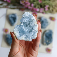 Load image into Gallery viewer, Celestite Cluster