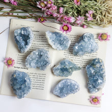 Load image into Gallery viewer, Celestite Cluster