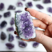 Load image into Gallery viewer, Amethyst Cluster