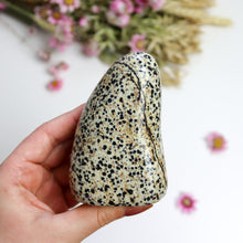 Load image into Gallery viewer, Dalmatian Jasper Freeform