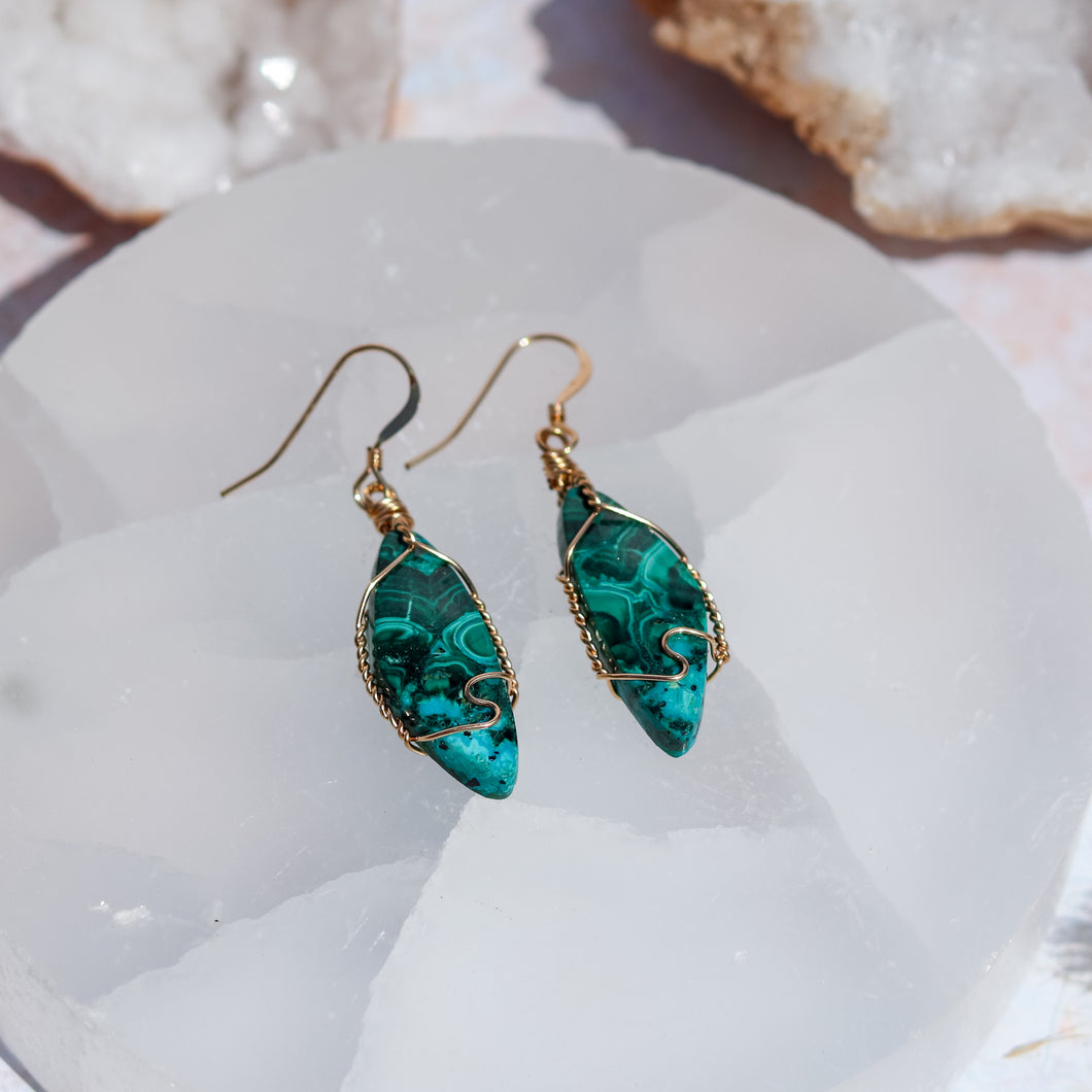 Chrysocolla Malachite 14ct Gold Fill Earrings