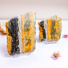 Load image into Gallery viewer, Bumblebee Jasper Slice With Stand
