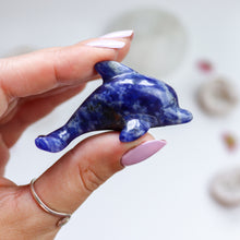 Load image into Gallery viewer, Sodalite Dolphin
