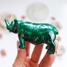 Load image into Gallery viewer, Malachite Rhinoceros
