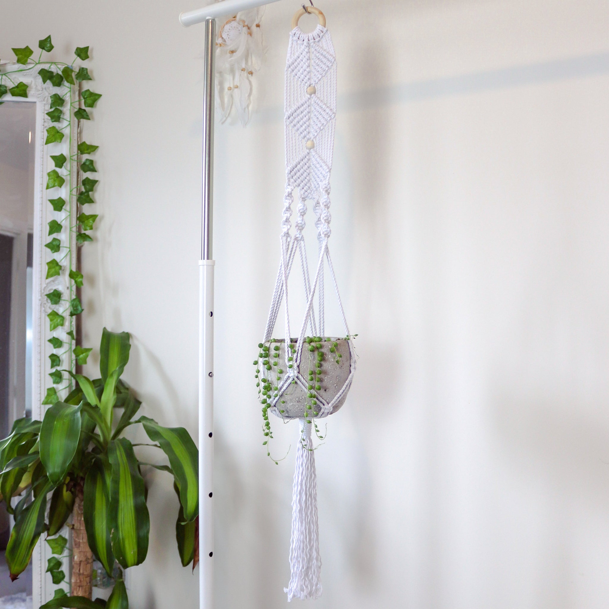 Sea Shell Macrame Plant Hanger – OliveYouKnot
