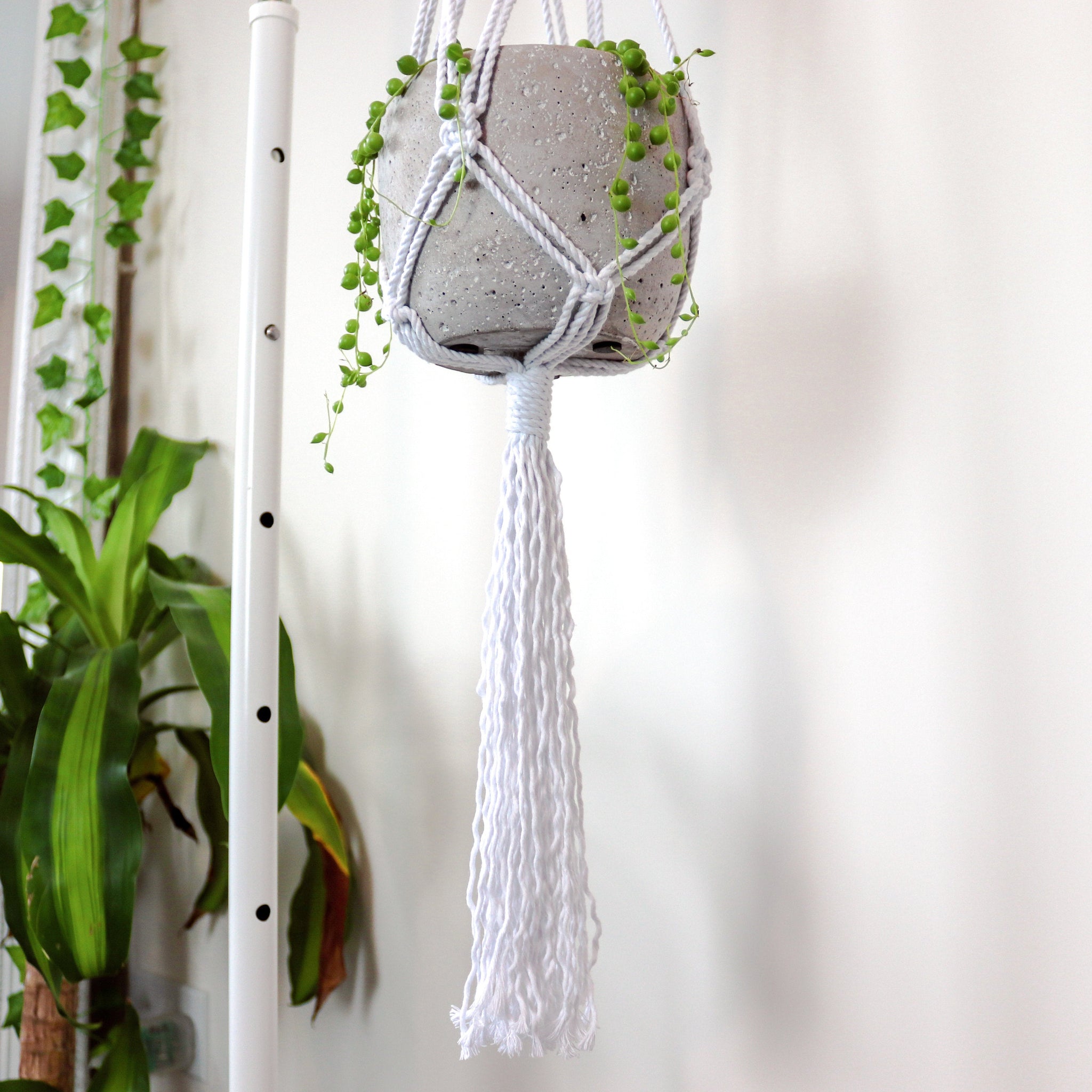 shell macrame plant hanger Sea Shell Macrame Plant Hanger – OliveYouKnot