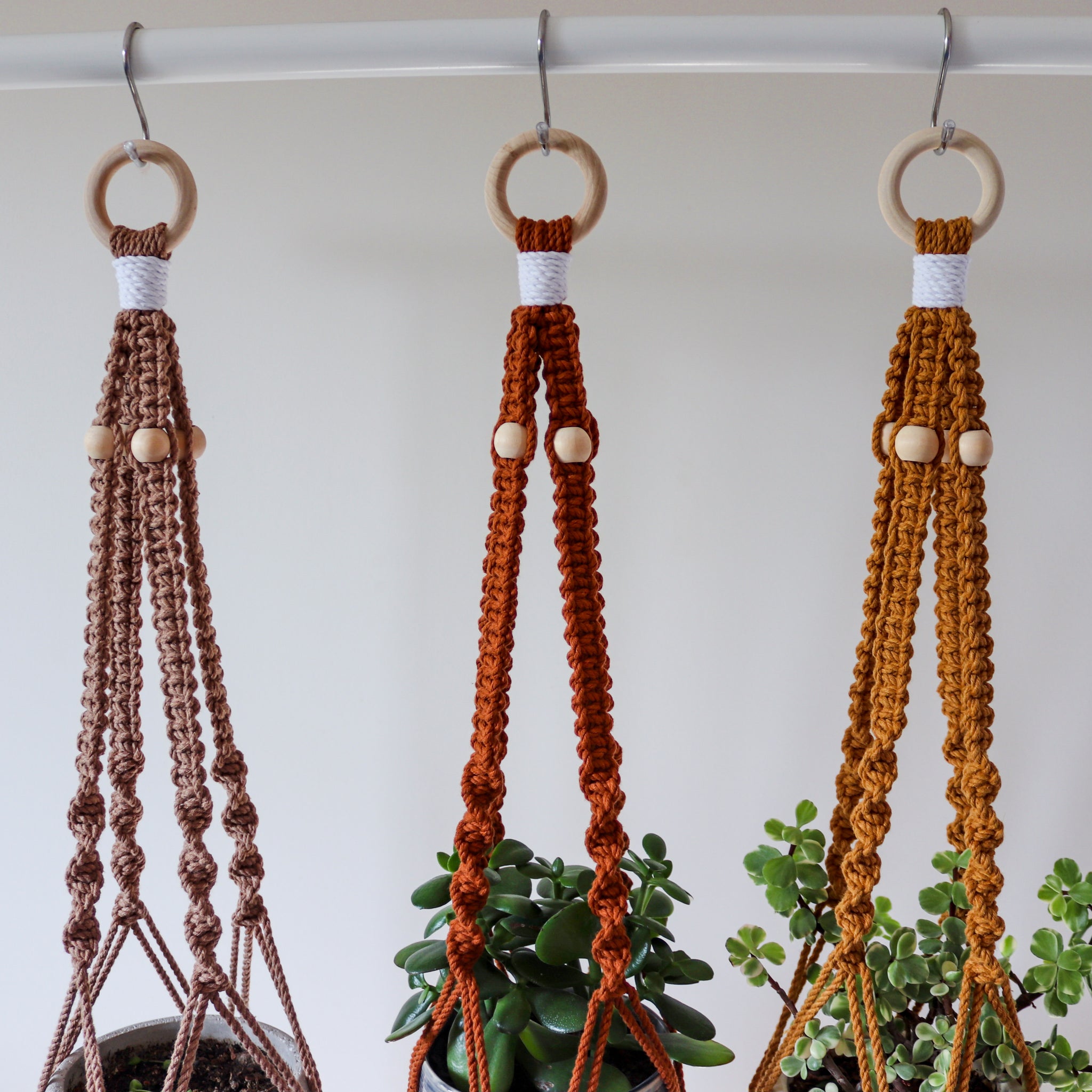 orange macrame plant hanger Burnt Orange Macrame Plant Hanger – OliveYouKnot