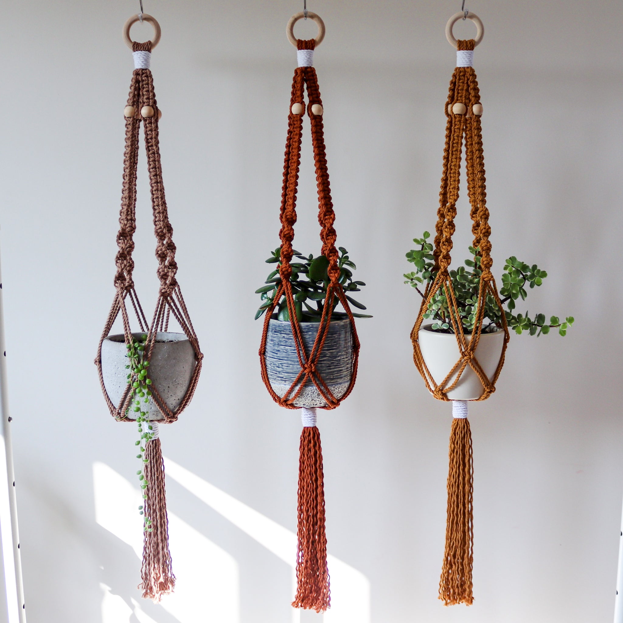orange macrame plant hanger Burnt Orange Macrame Plant Hanger – OliveYouKnot